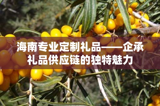 海南专业定制礼品——企承礼品供应链的独特魅力